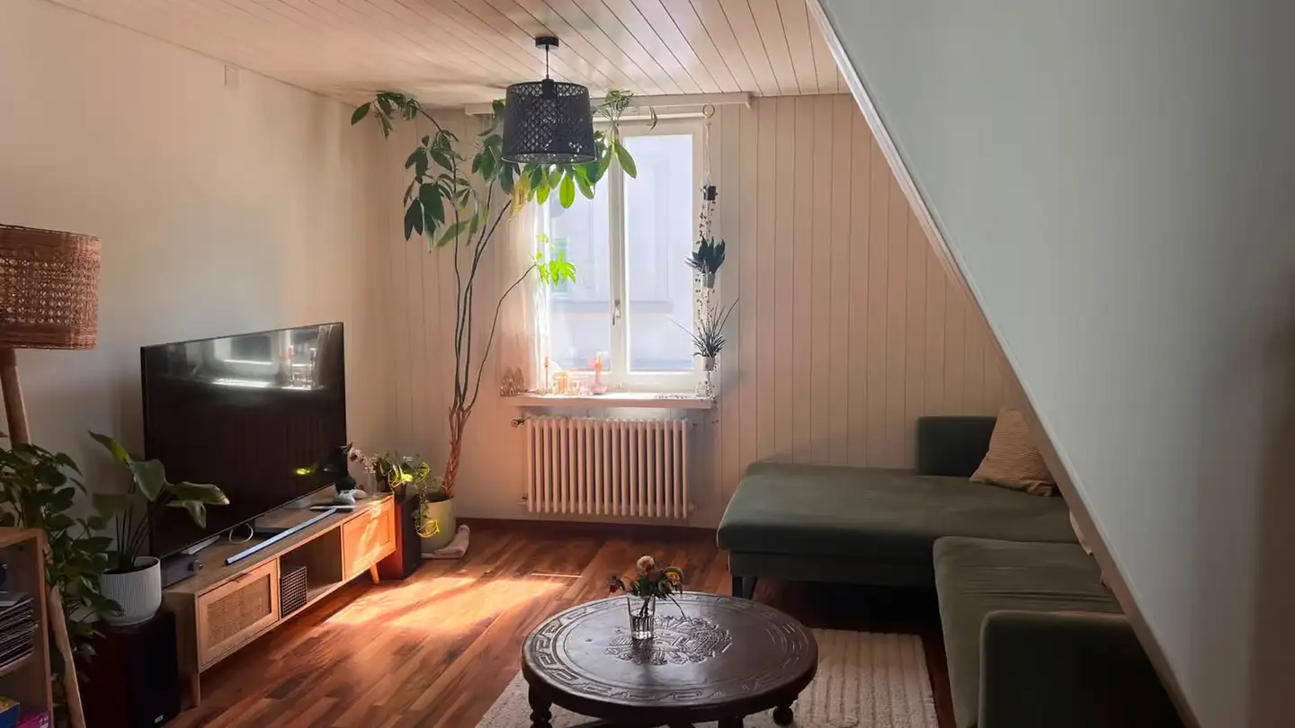 Chambre à louer - Albrechtstrasse, 8406 Winterthur - Photo 4