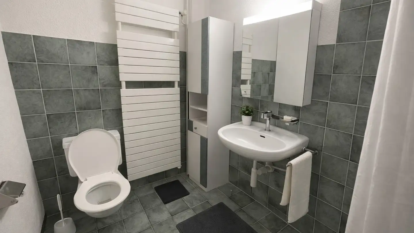 Appartamento in affitto - Mitteldorfstrasse, 5245 Habsburg - Foto 3