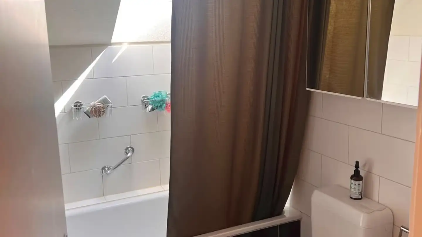 Chambre à louer - Albrechtstrasse, 8406 Winterthur
