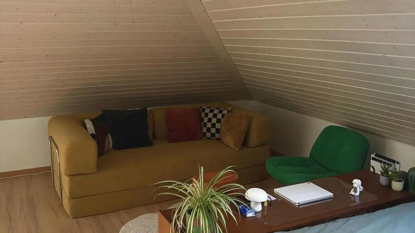 Single room for rent - Missionsstrasse 19a, 4055 Basel - Photo 3