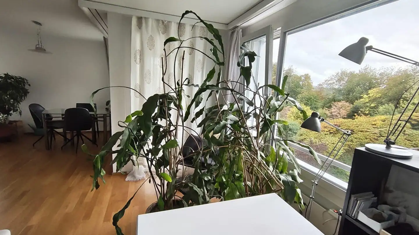 Wohnung mieten - 8126 Zumikon - Foto 3