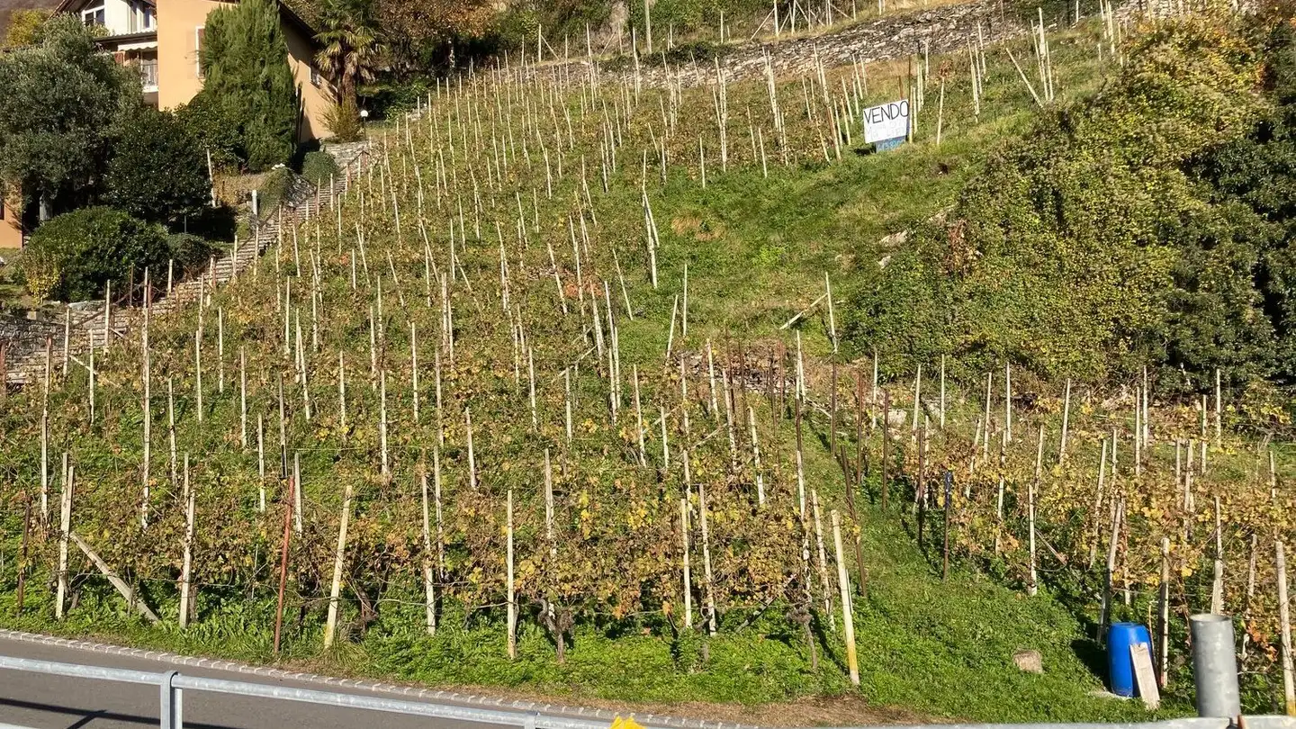 Terreno edificabile in vendita - Alla Rocca, 6515 Gudo