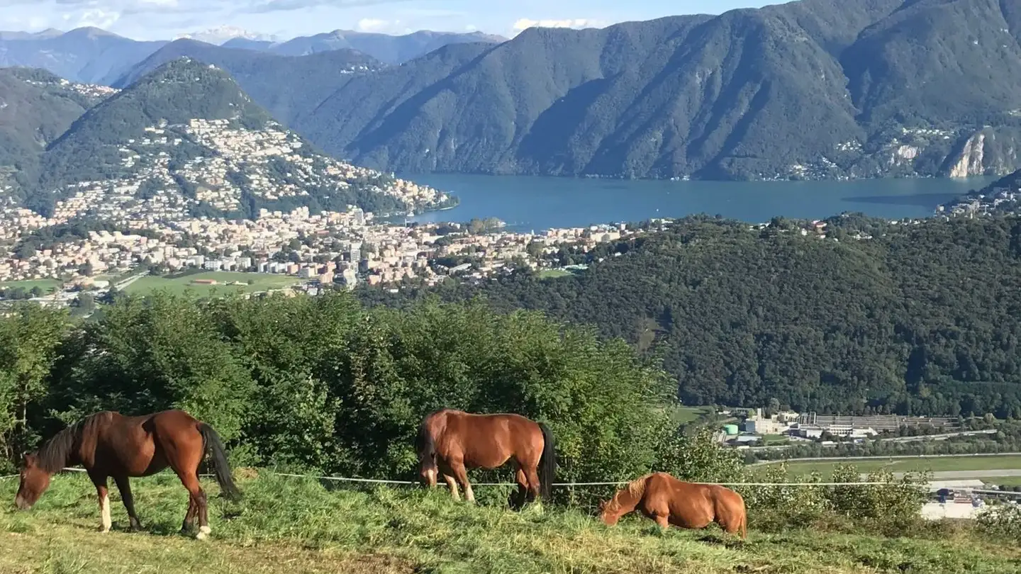 Terrain constructible à vendre - Via Quadrella, 6936 Cademario