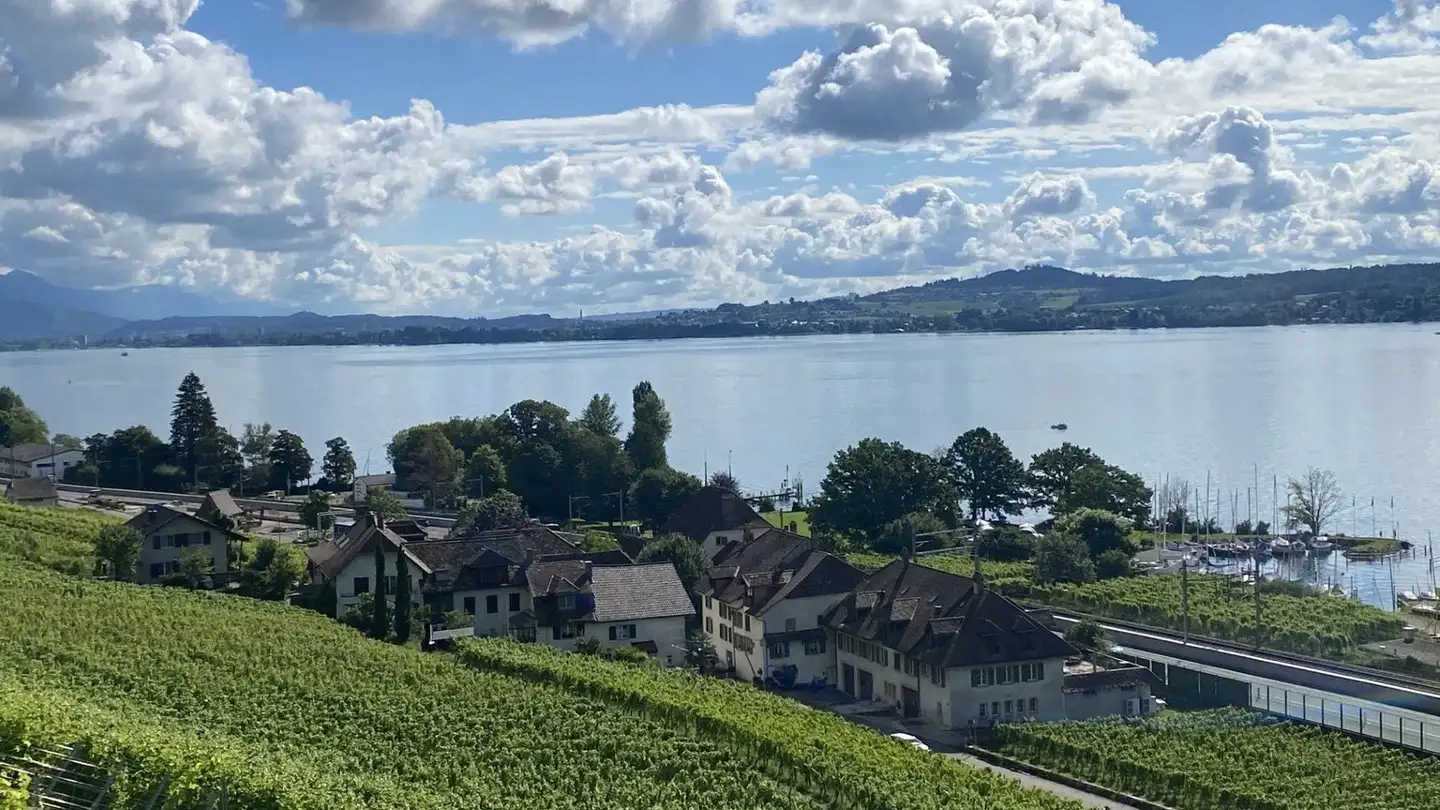 Single house for sale - Lacheweg, 2513 Twann