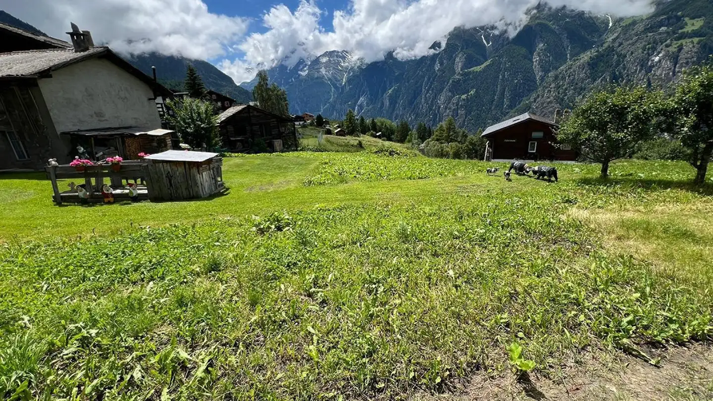 Constructible plot for sale - 3925 Grächen