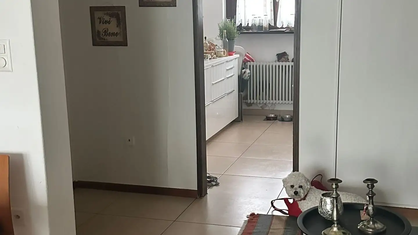 Apartment for rent - Via Del Piano 2a, 6512 Giubiasco