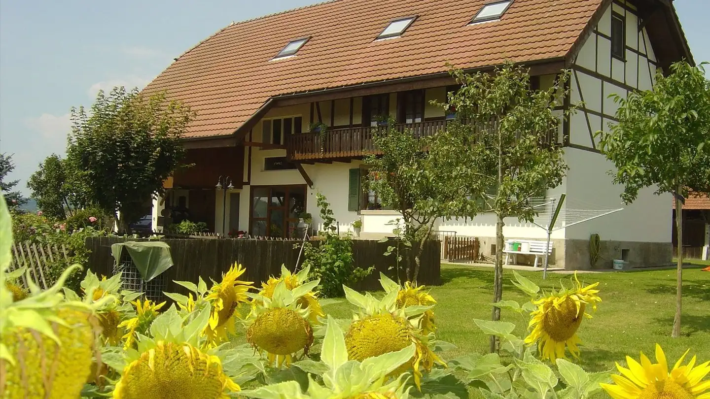 Farm for sale - 3252 Worben