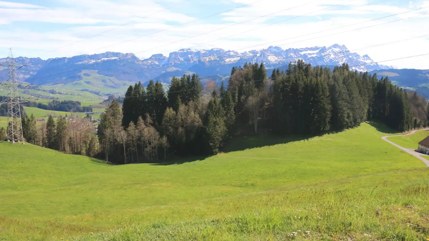 Constructible plot for sale - Brenden, 9050 Appenzell Meistersrüte