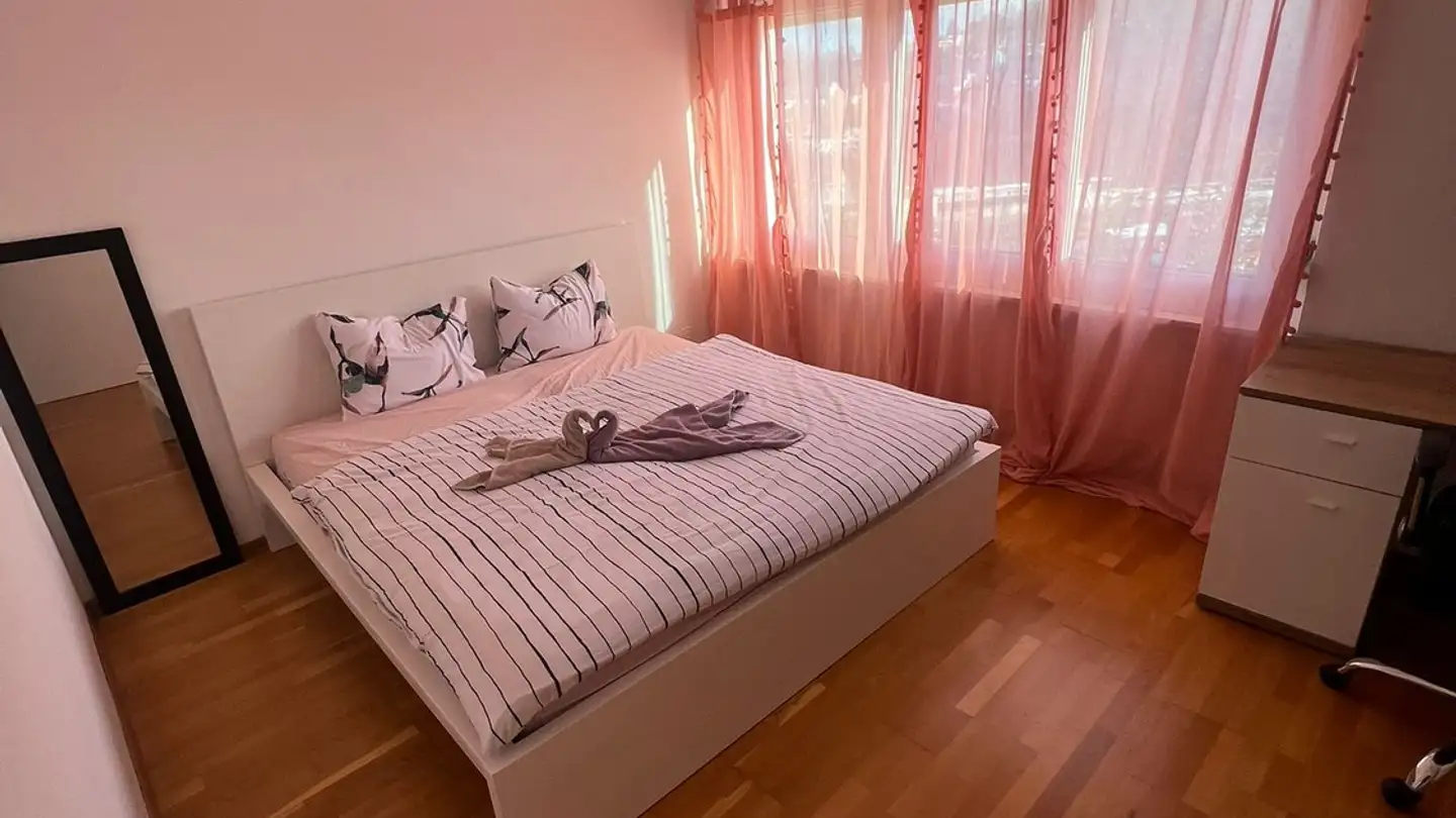 Appartement meublé à louer - Albisstrasse 55, 8134 Adliswil - Photo 3