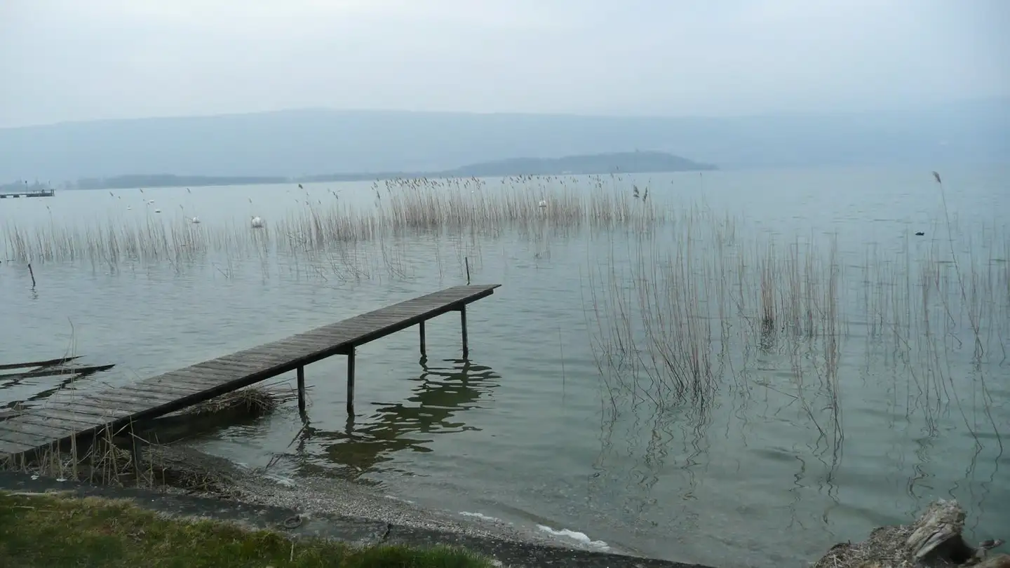 Attico in vendita - Baumgarten, 2576 Lüscherz - Foto 4