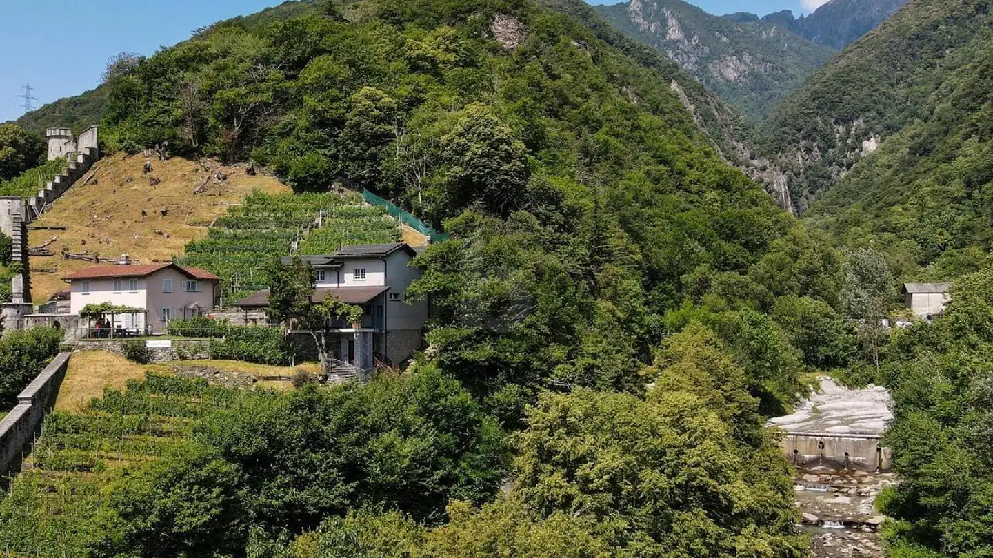 Factory for rent - 6514 Sementina