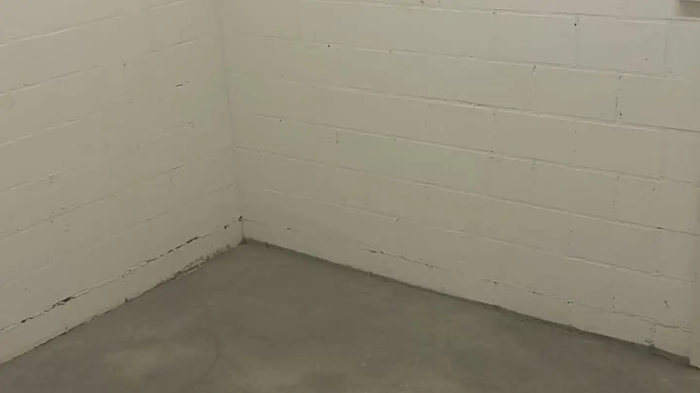 Sala hobby in affitto - Neukirchhofweg 6, 8180 Bülach