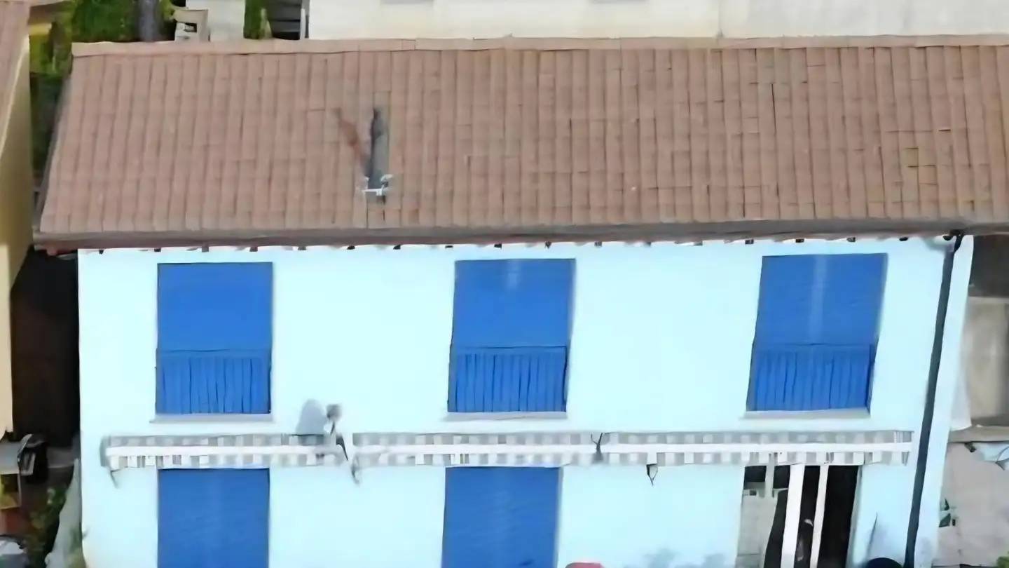 Einfamilienhaus kaufen - Strada Di Pregassona 47c, 6963 Pregassona