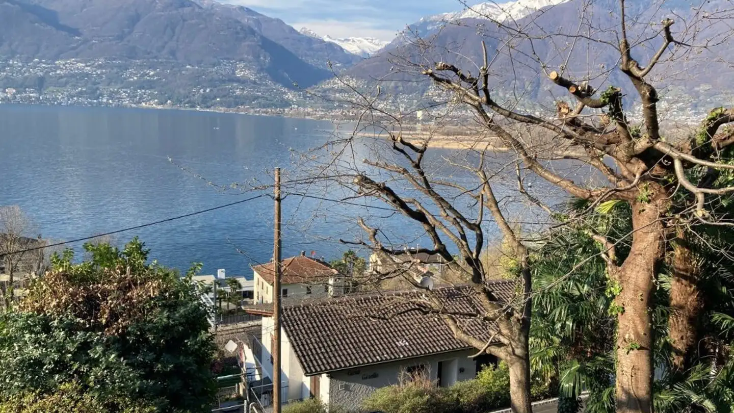 Constructible plot for sale - 6573 Magadino - Photo 3