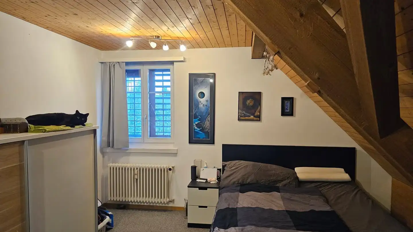 Attique à louer - Hohenzornstrasse 4, 8500 Frauenfeld - Photo 3