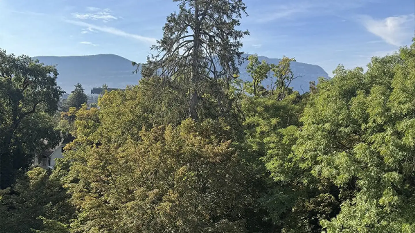 Appartement à louer - Chemin De-La-Montagne 78, 1224 Chêne-Bougeries
