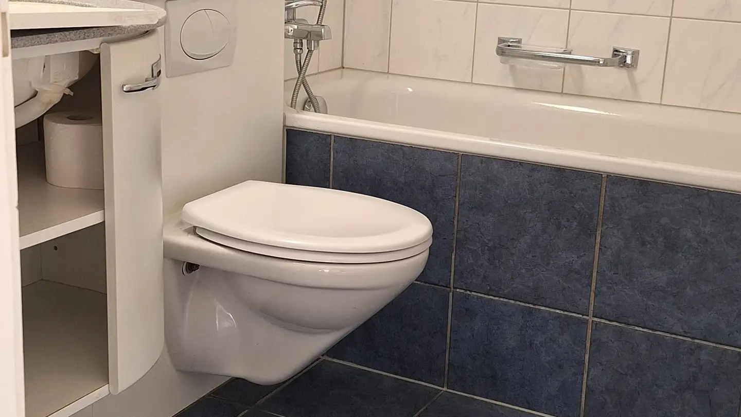 Appartement à louer - In Der Breiti 6, 8902 Urdorf - Photo 4