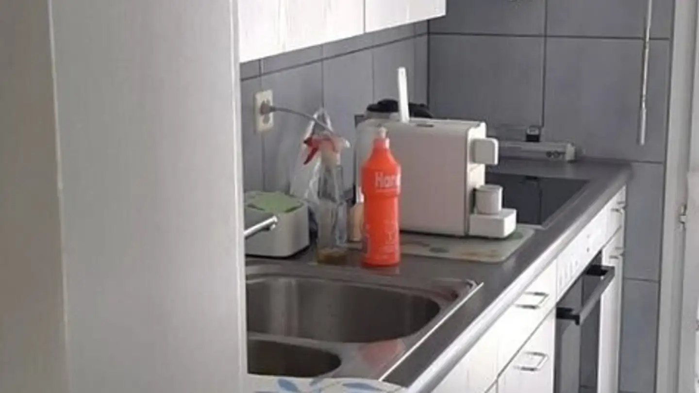 Appartamento in affitto - Seestrasse 56, 8942 Oberrieden - Foto 2