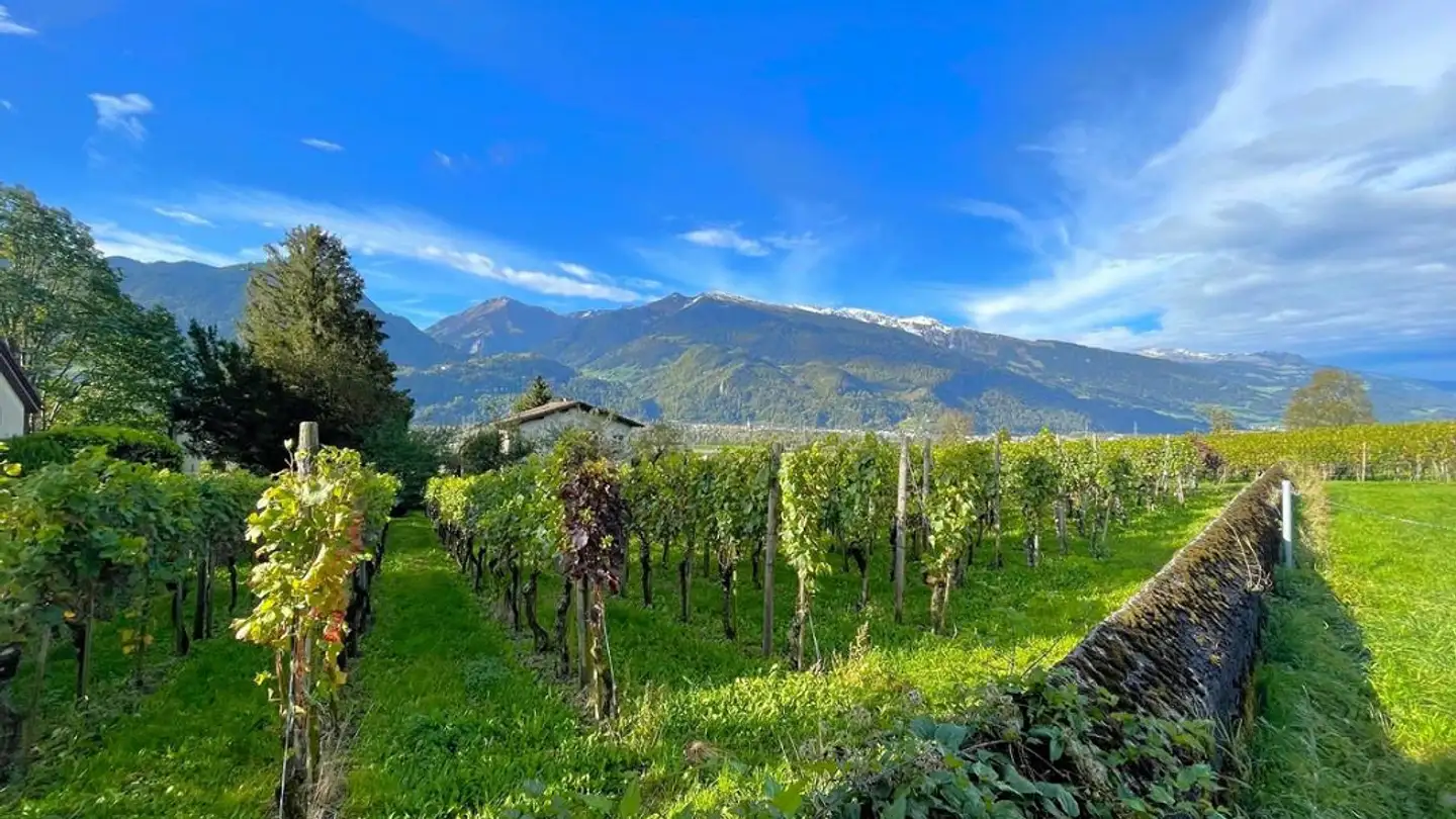 Terreno edificabile in vendita - 7304 Maienfeld - Foto 4