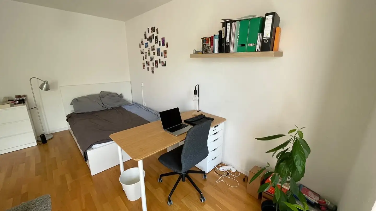 Chambre à louer - Bläsistrasse 7, 8049 Zürich