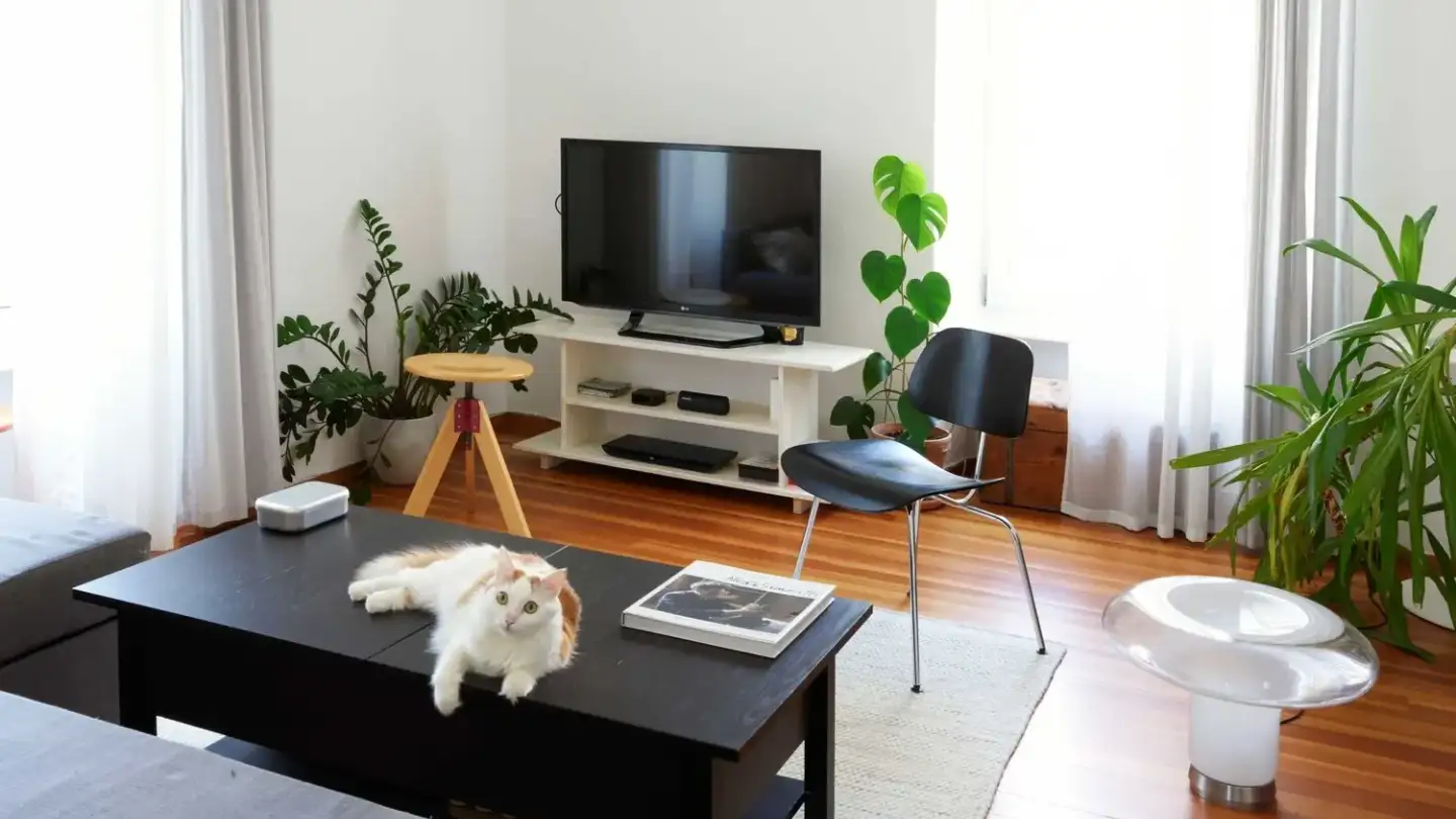 Apartment for rent - Corso Elvezia 5, 6900 Lugano - Photo 3