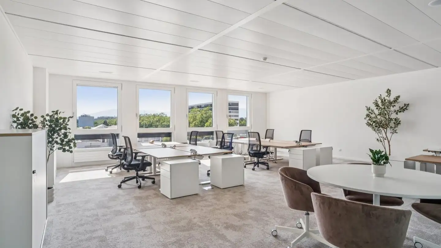 Spazio ufficio in affitto - Route De Chancy 59, 1213 Petit-Lancy