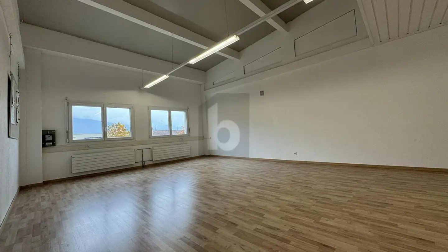 Office space for rent - 1880 Bex - Photo 4