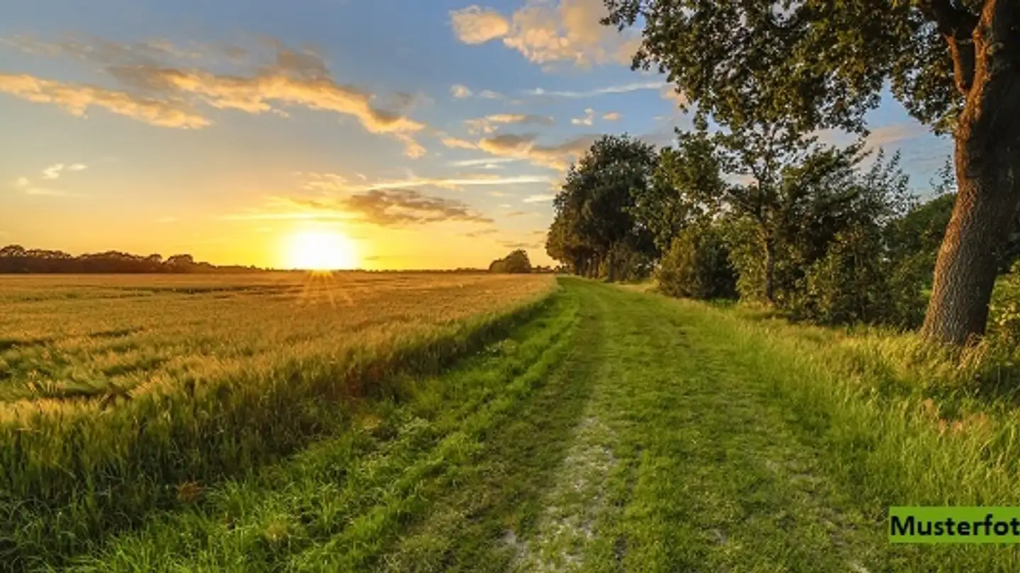 Farm for sale - 1786 Sugiez
