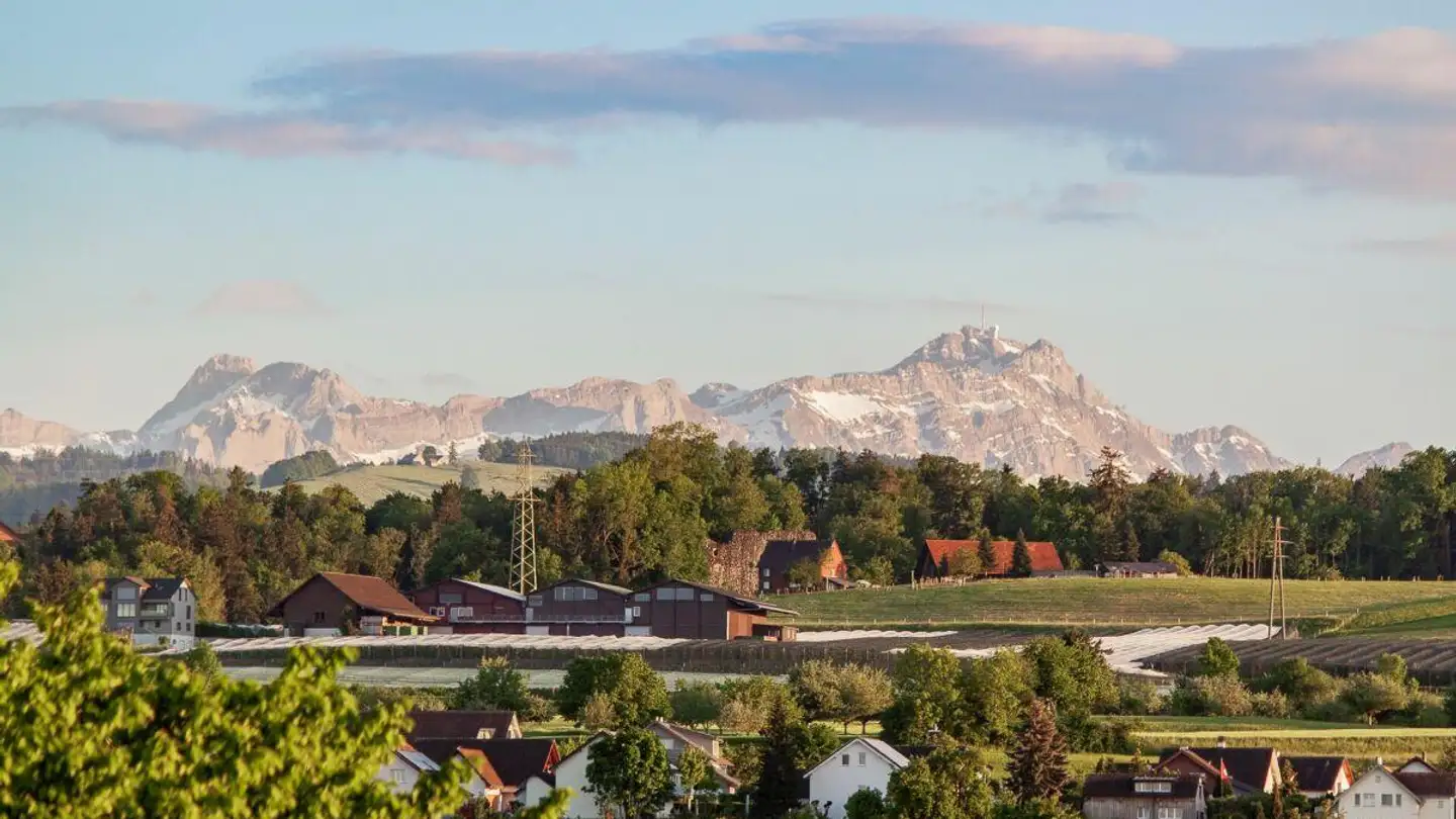 Wohnung kaufen - Buchenstrasse 1a, 9323 Steinach - Foto 2