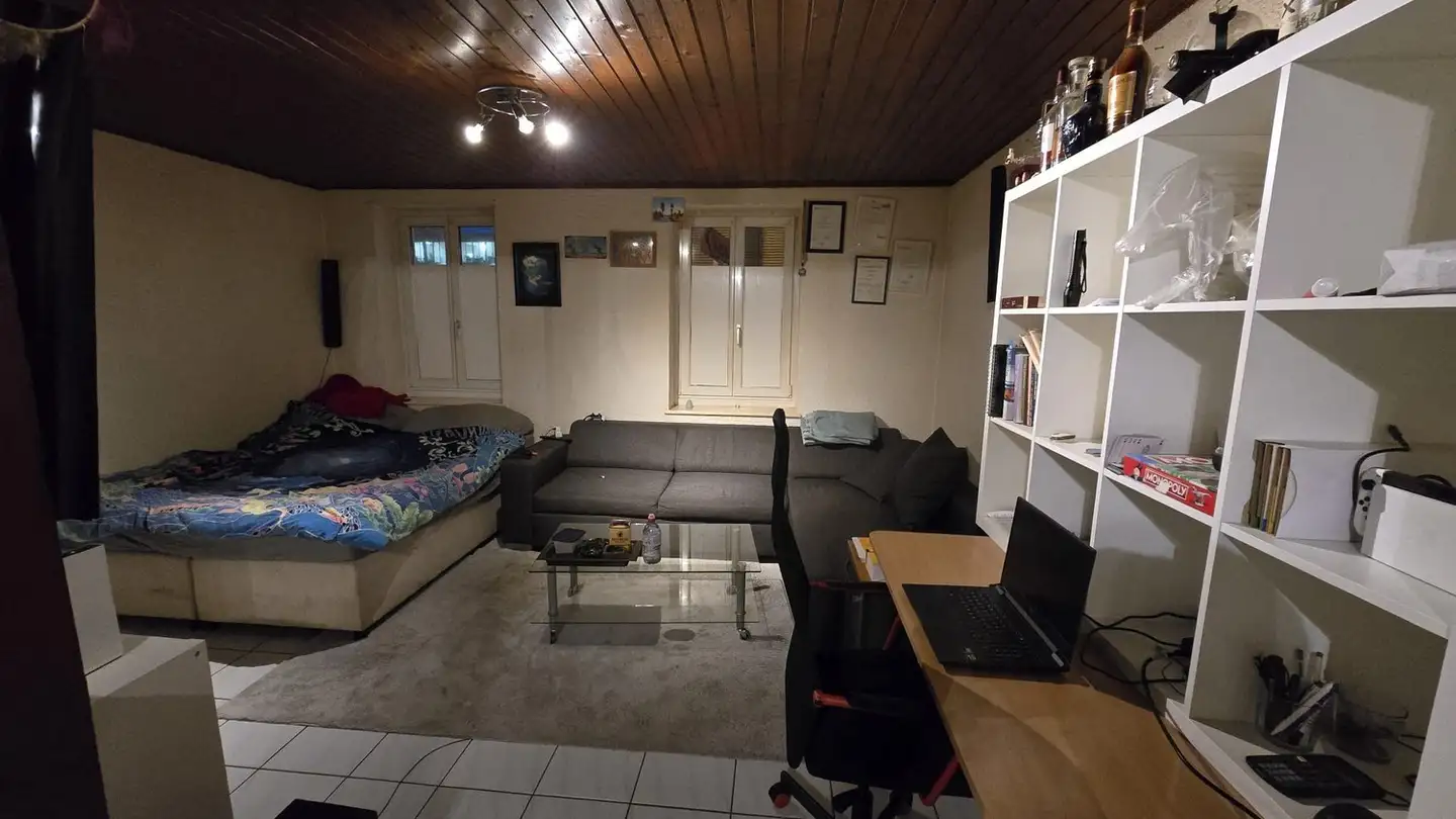 Appartamento in affitto - 4123 Allschwil - Photo 4