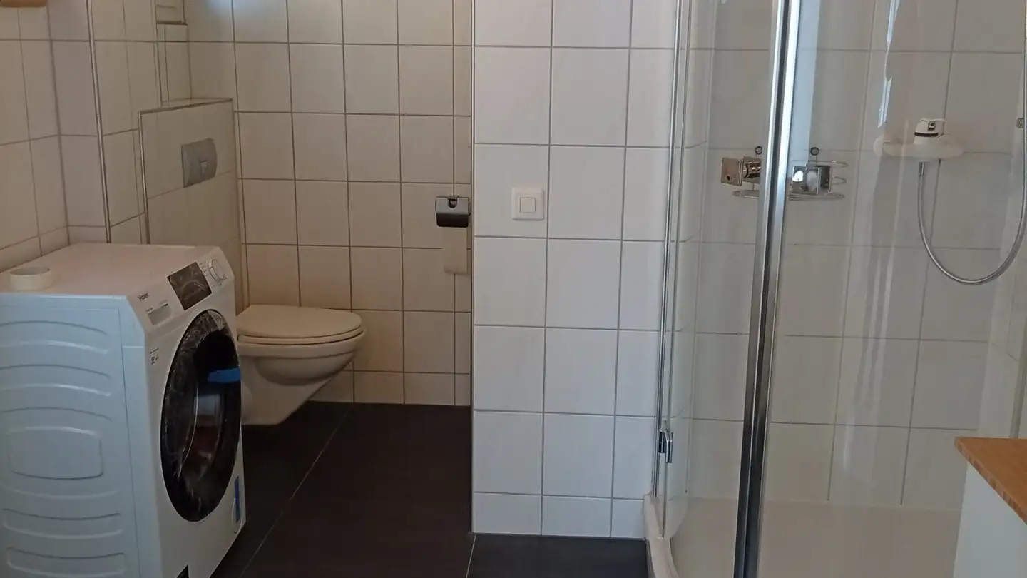 Appartement à louer - Alte St. Gallerstrasse, 9325 Roggwil TG - Photo 4