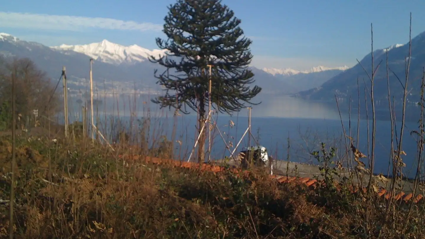 Terreno edificabile in vendita - Via Cagetto, 6614 Brissago - Photo 3