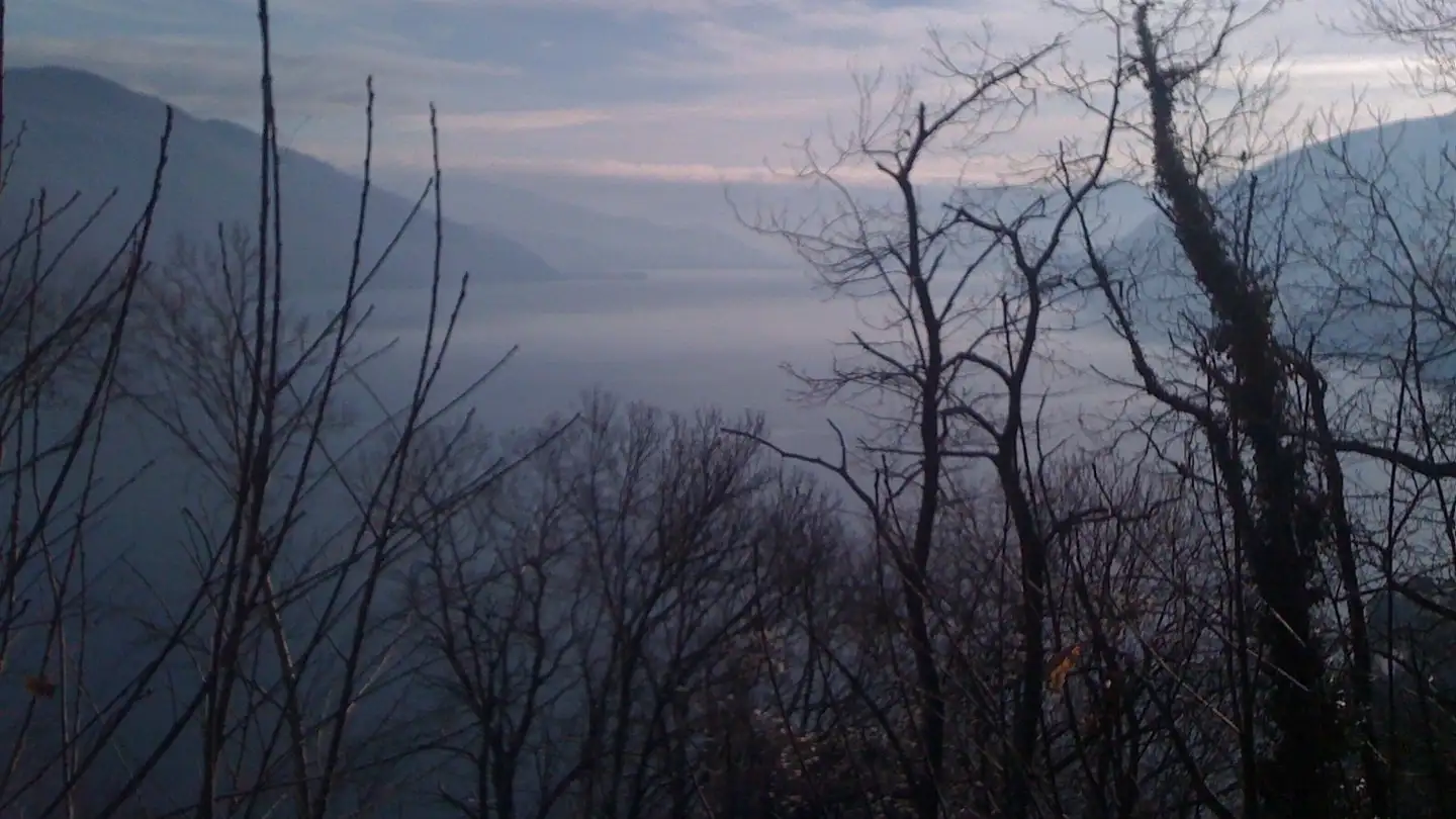 Terreno edificabile in vendita - Via Cagetto, 6614 Brissago - Photo 4