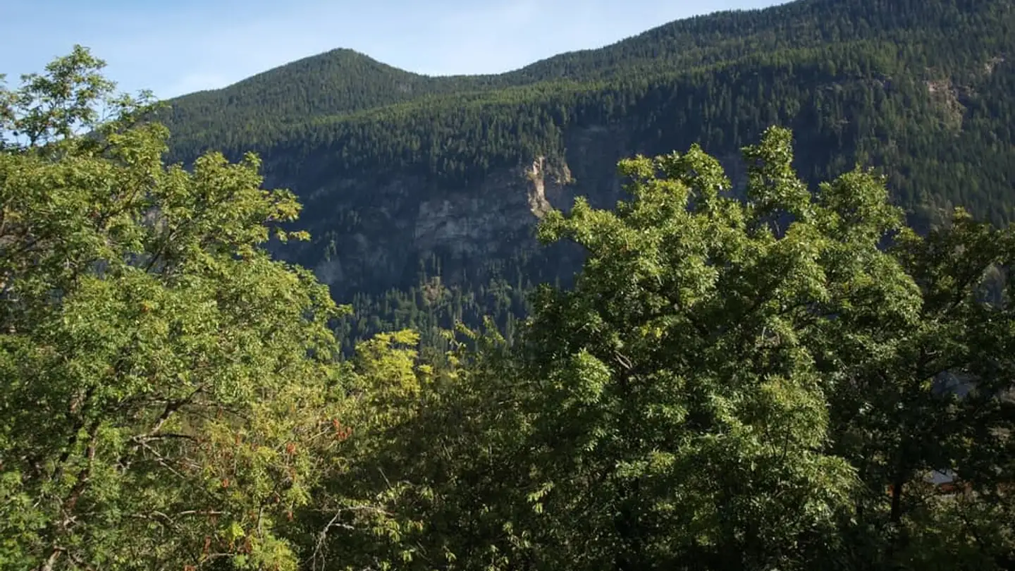 Appartamento in vendita - 1923 Les Marécottes - Photo 2