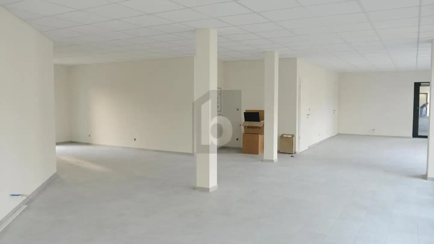 Grand magasin à louer - 1026 Denges - Photo 3