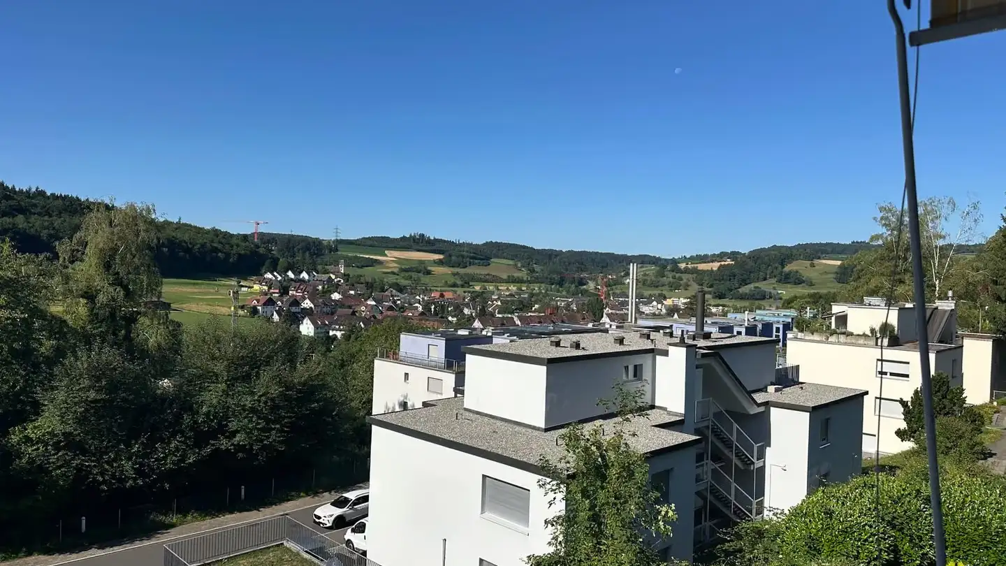 Wohnung kaufen - Risirainstrasse, 8903 Birmensdorf ZH