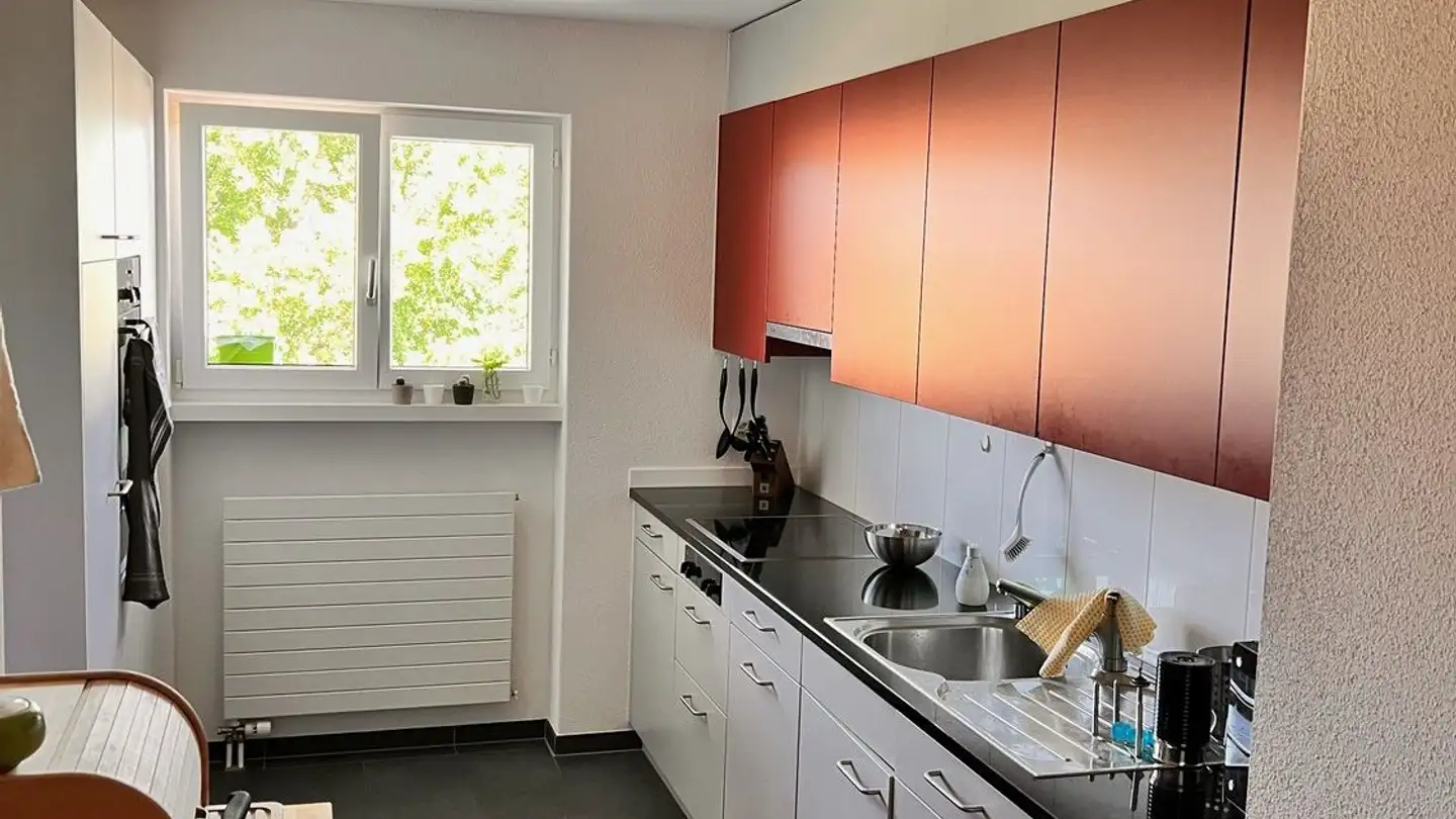 Chambre à louer - Eugen-Huber-Strasse 123, 8048 Zürich - Photo 4