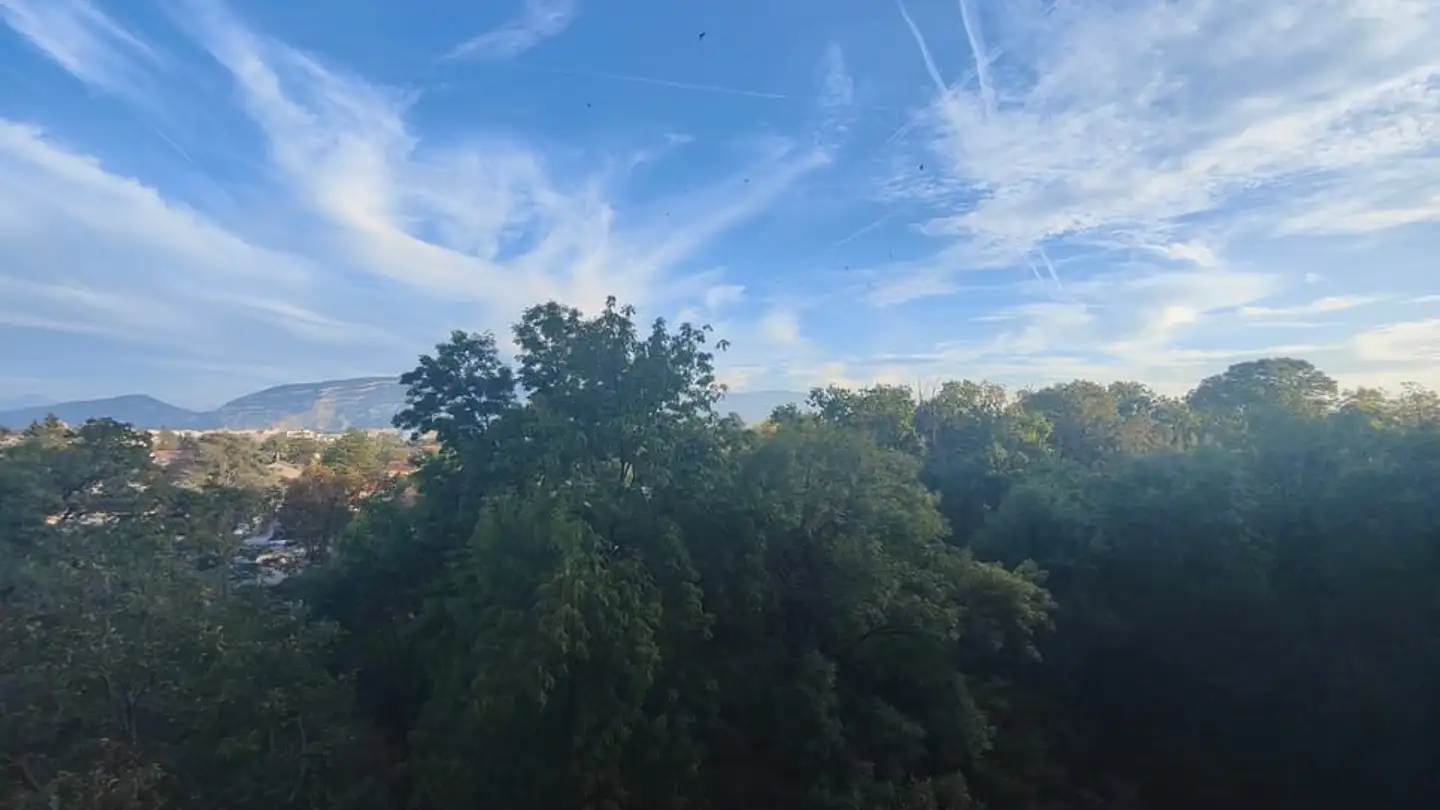 Appartement à vendre - Passerelle Du Lignon, 1219 Le Lignon