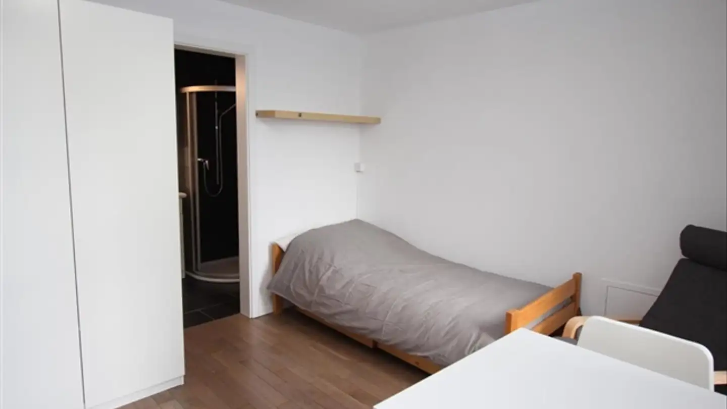 Appartement meublé à louer - Rue De Montbrillant 21, 1201 Genève - Photo 3