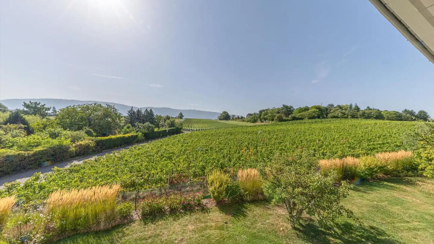 Single house for rent - Chemin Du Signal 32, 1233 Bernex