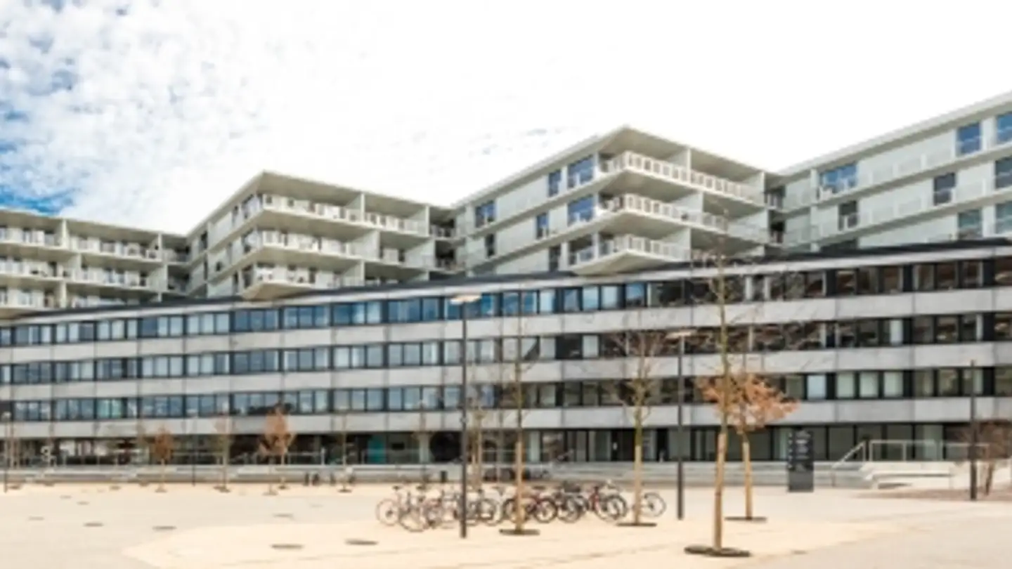 Duplex for rent - Freilager-Platz, 4142 Münchenstein