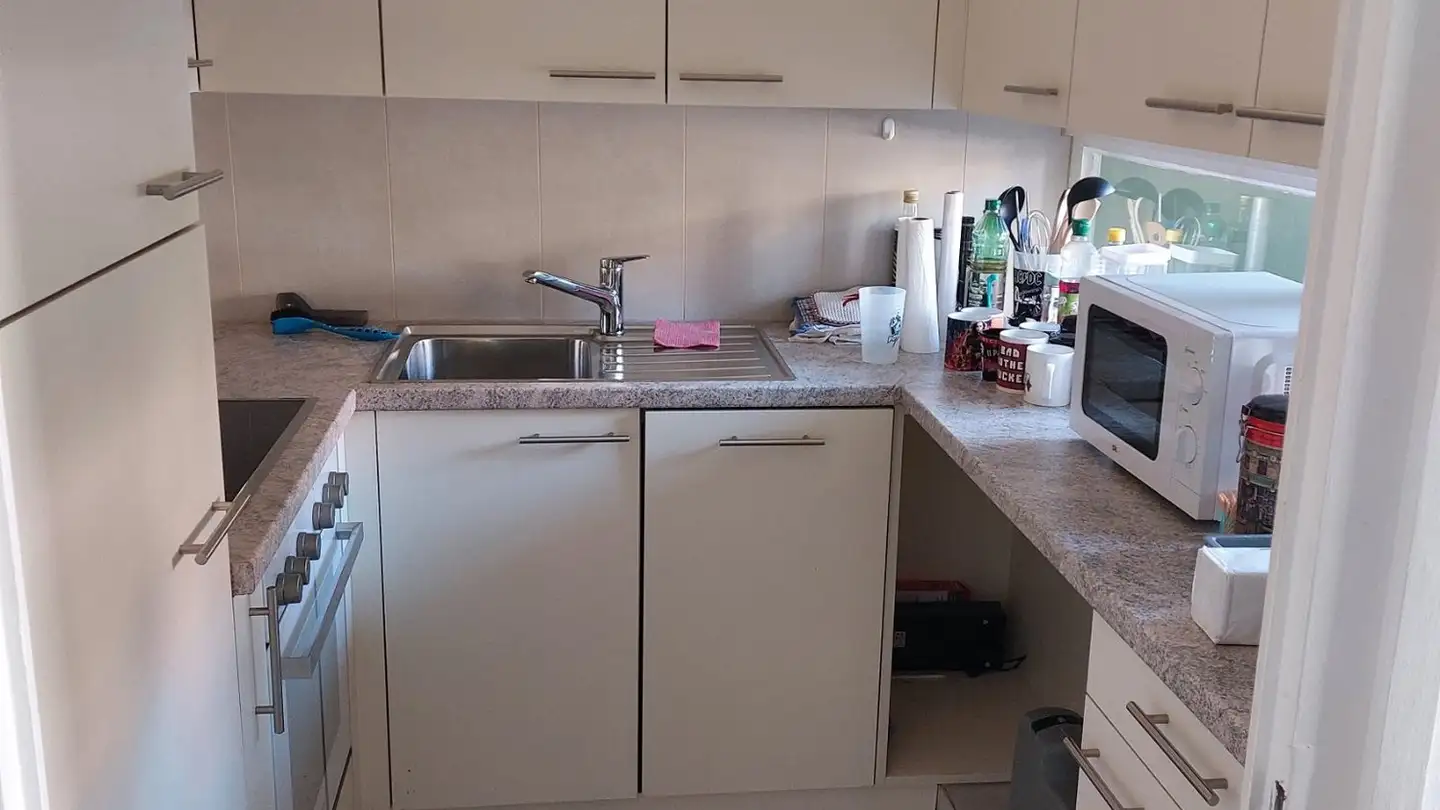 Apartment for rent - 6805 Mezzovico - Photo 2