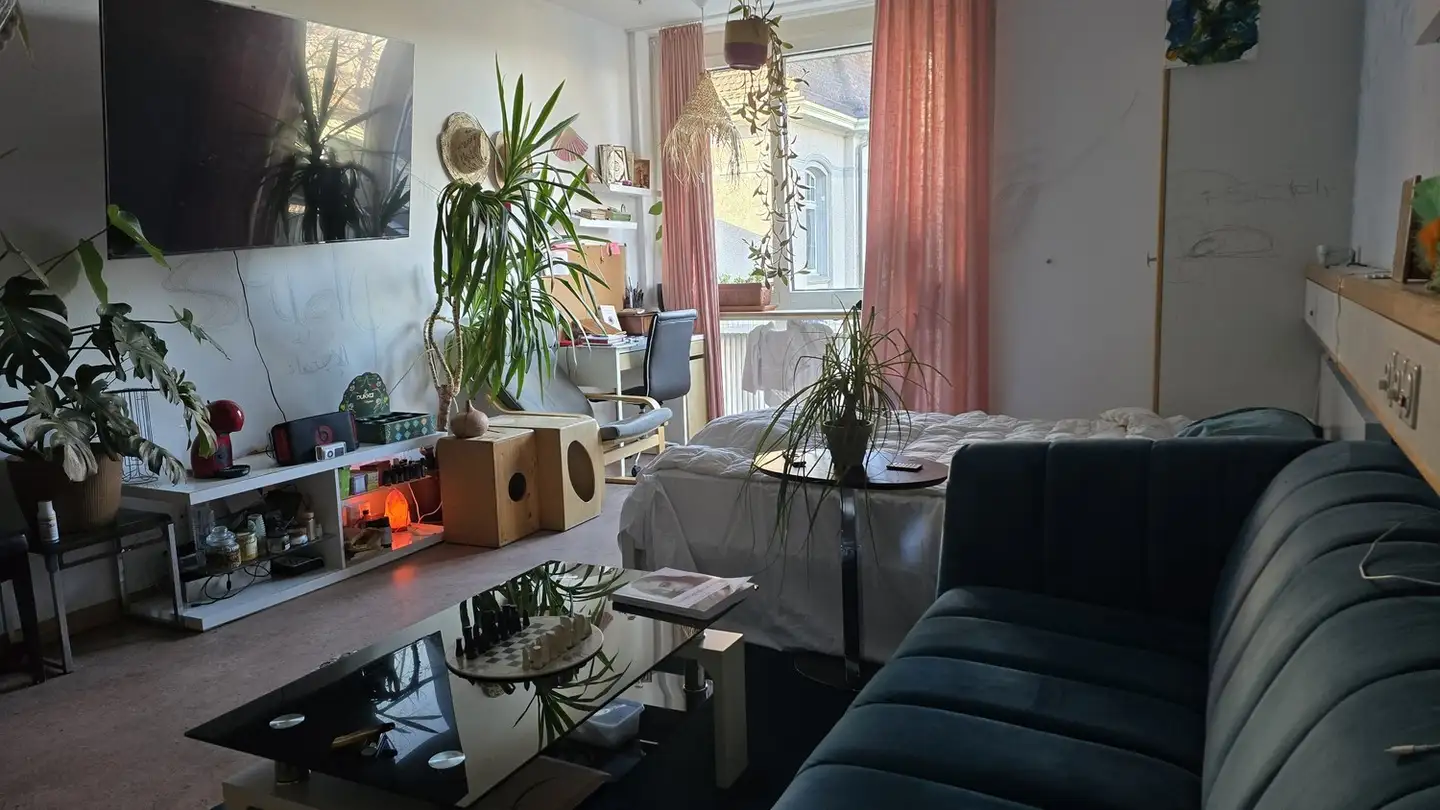 Single room for rent - Forchstrasse 366, 8008 Zürich - Photo 4