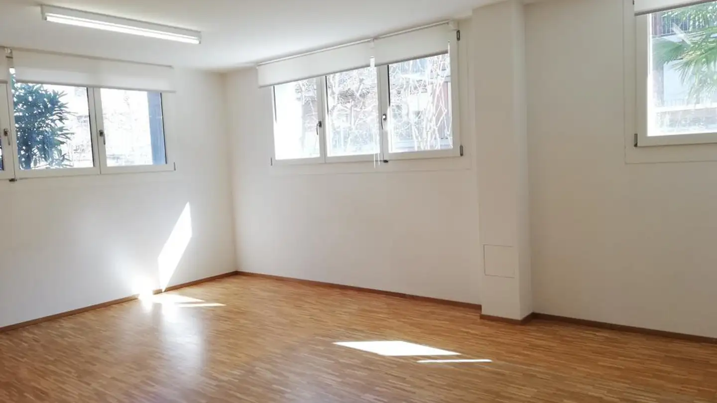 Workshop for rent - Oberwilerstrasse 65, 4102 Binningen - Photo 3