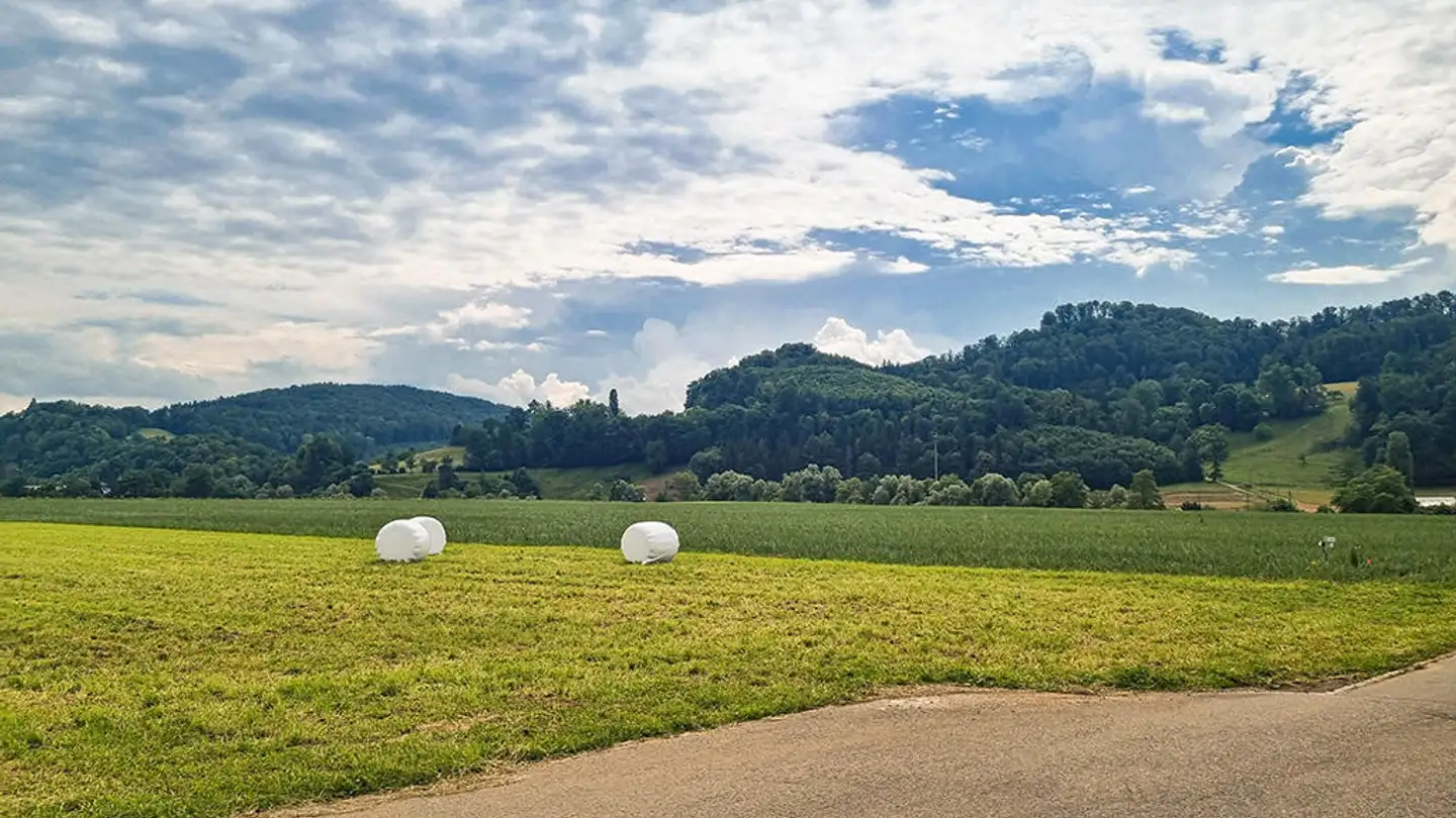 Casa singola in vendita - 4410 Liestal - Photo 2