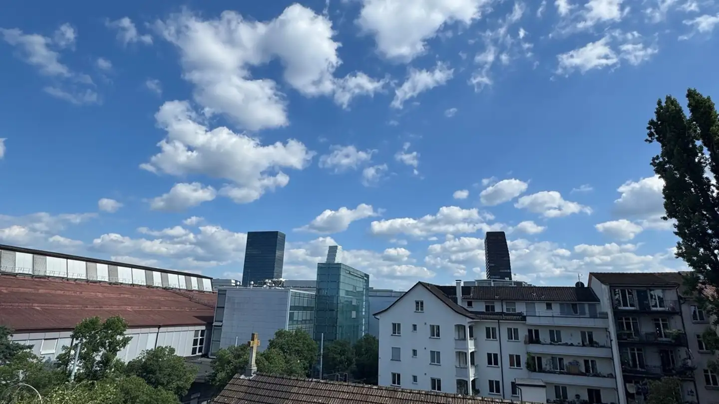 Penthouse for rent - Feldbergstrasse 146, 4057 Basel - Photo 4