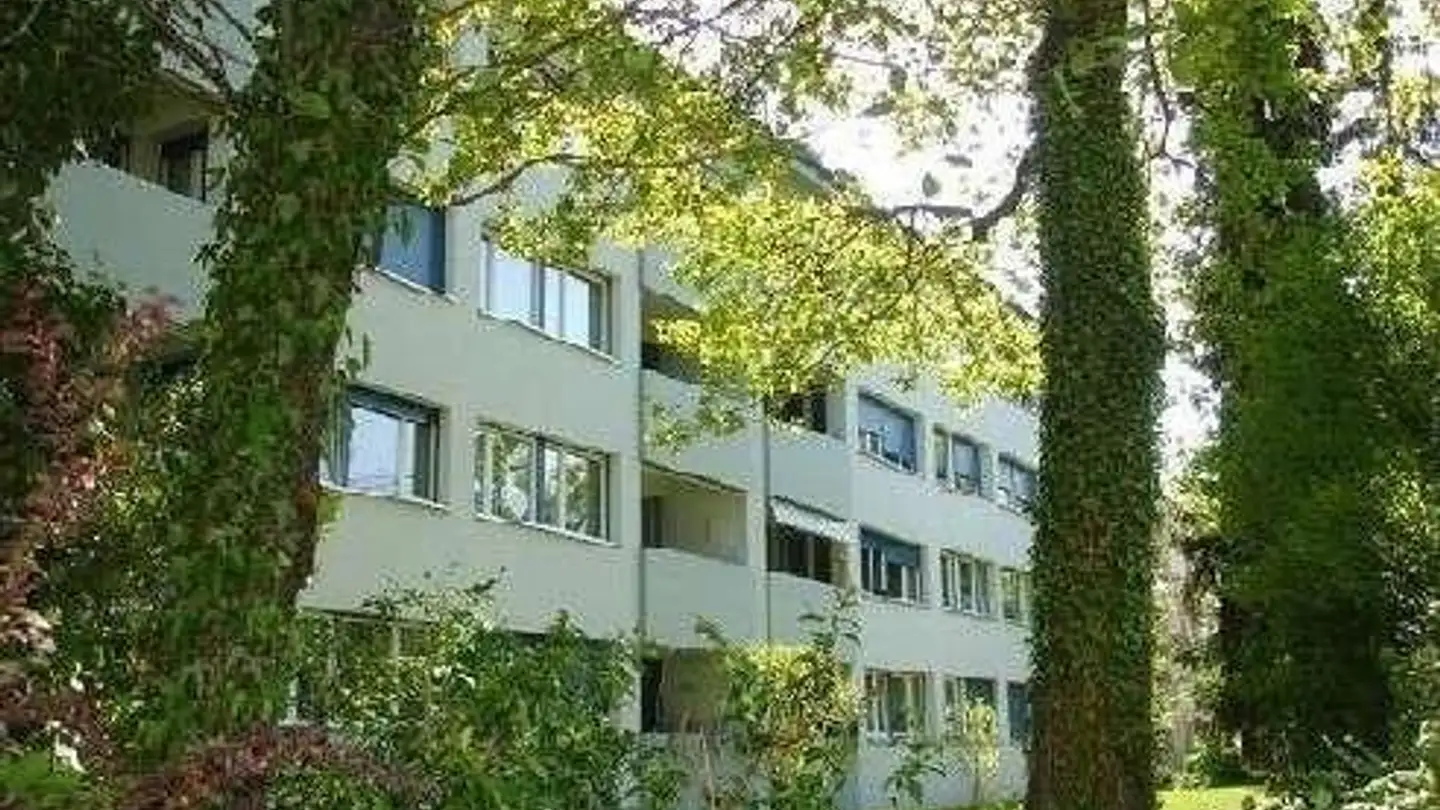 Wohnung mieten - Binningerstrasse 62, 4123 Allschwil - Foto 2