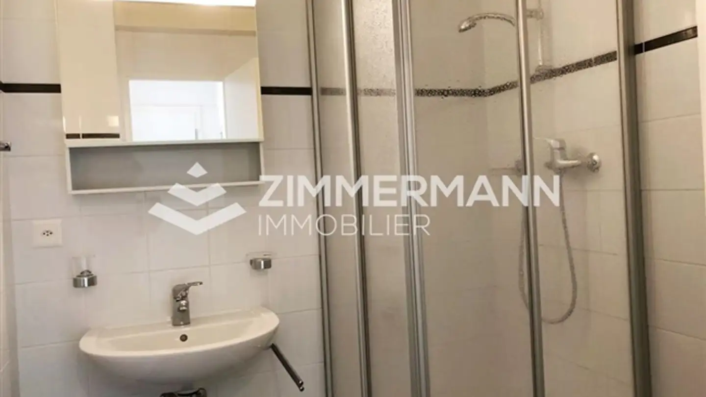 Appartamento in affitto - Route Du Grand-Lancy, 1212 Grand-Lancy - Foto 4