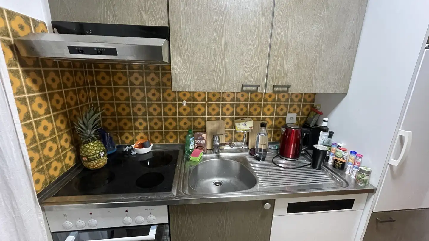 Appartamento in affitto - Terbinerstrasse 42, 3930 Visp - Photo 3