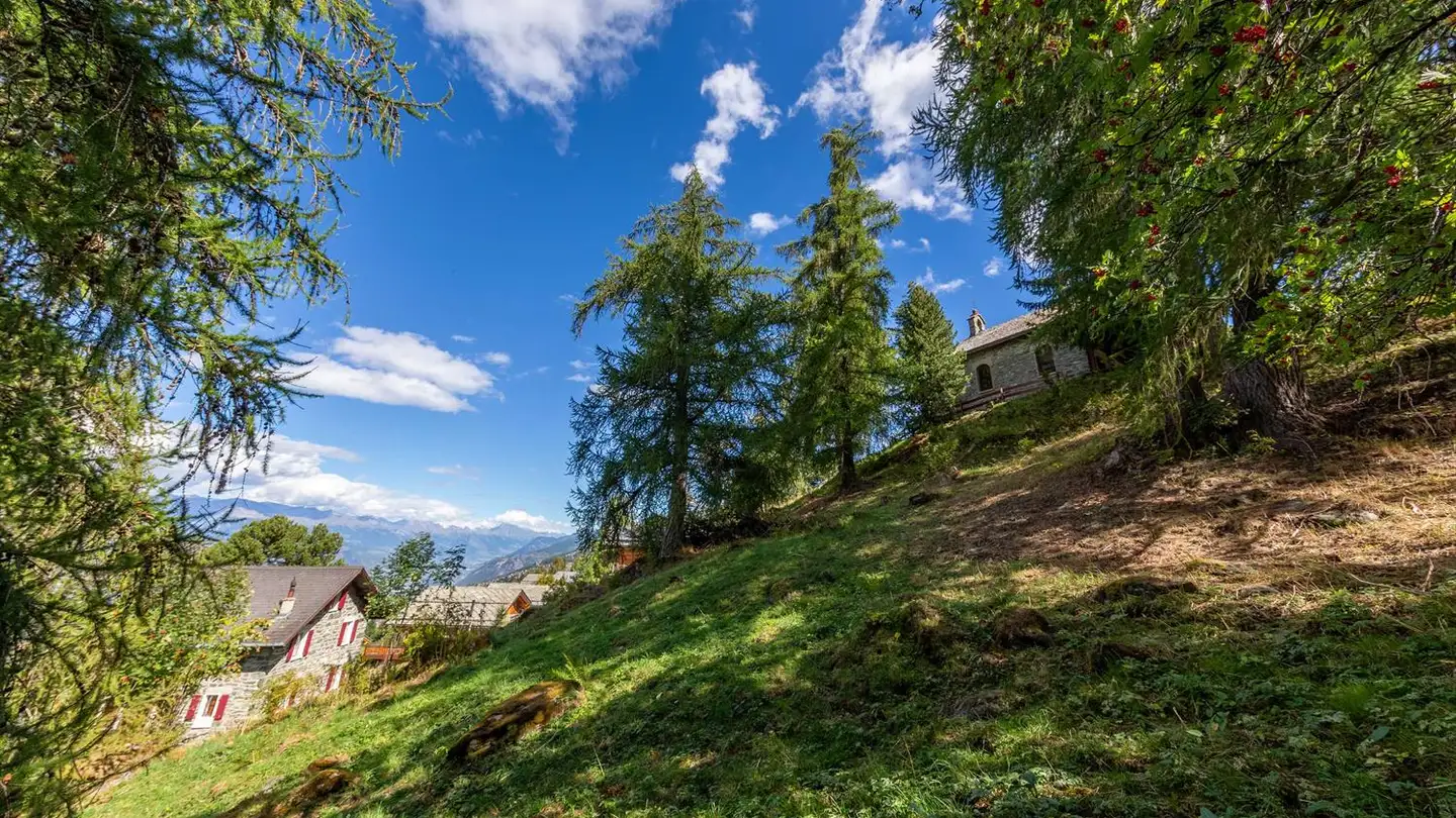 Chalet kaufen - Chemin Des Veillâs, 1997 Haute-Nendaz - Foto 2